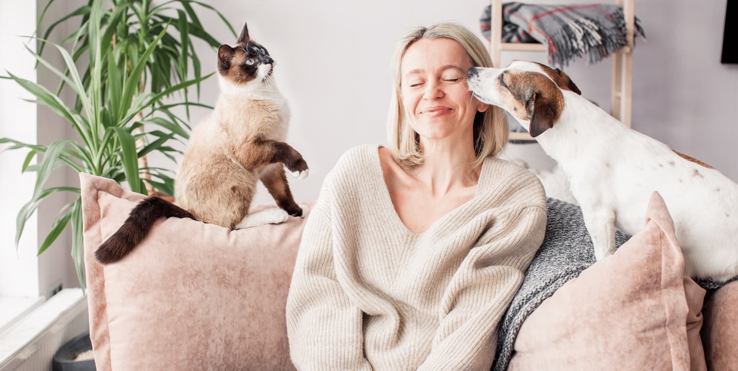 Happy Woman sitting on a couch with a cat and a dog